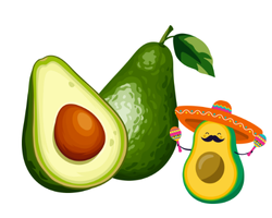 Avokado taze